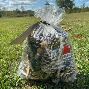16oz Bag of Unscented Pinecone Decor Mix Holiday Decoration